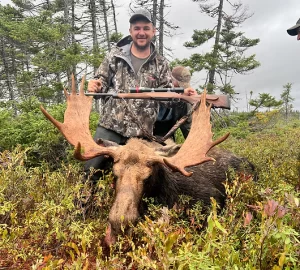 Chasse à l'ours noir trophée avec appât — Newfoundland Adventures – Newfoundland Adventures